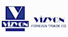 vizyon